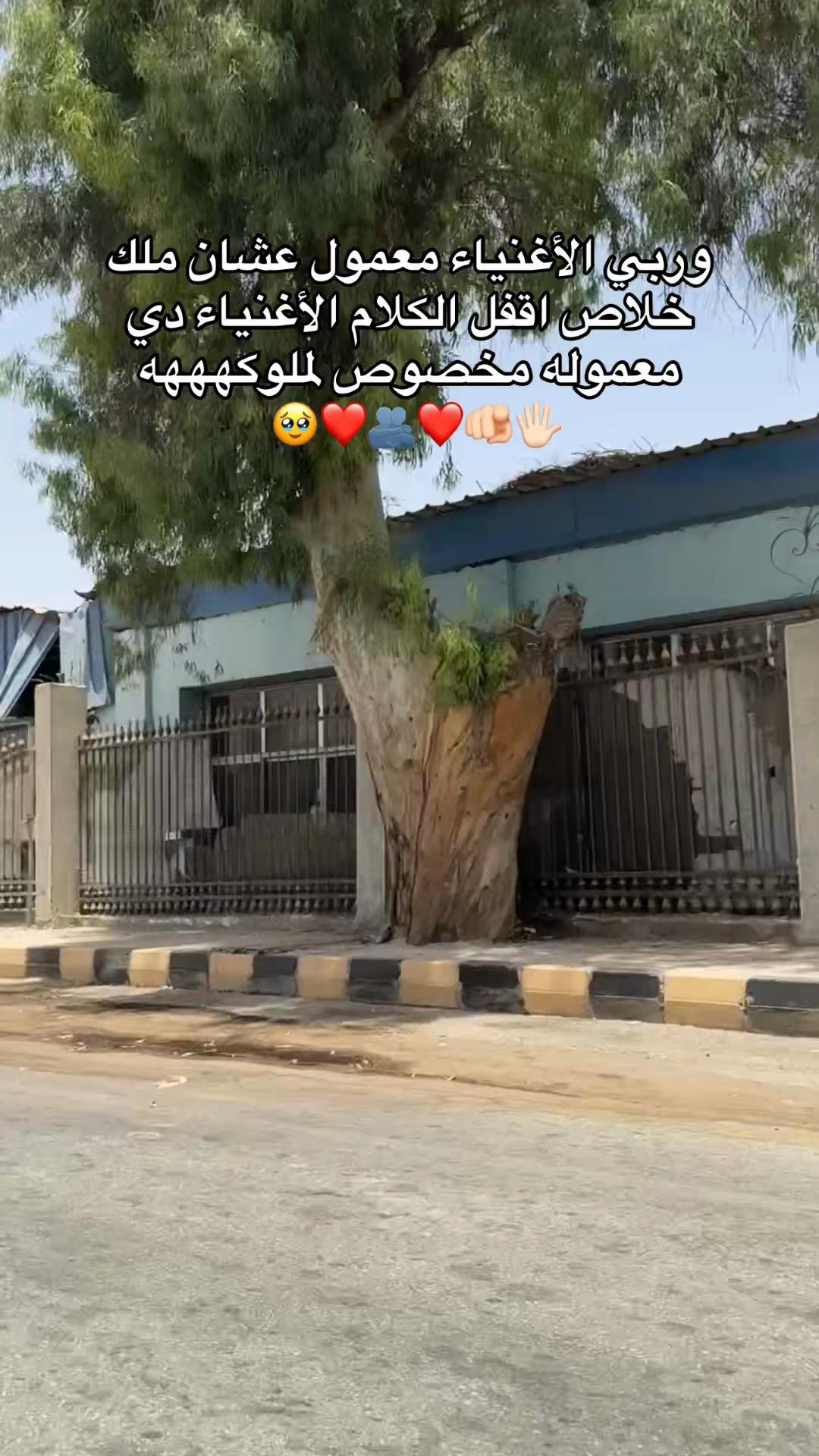 @بحب ملوكتي 😍💘