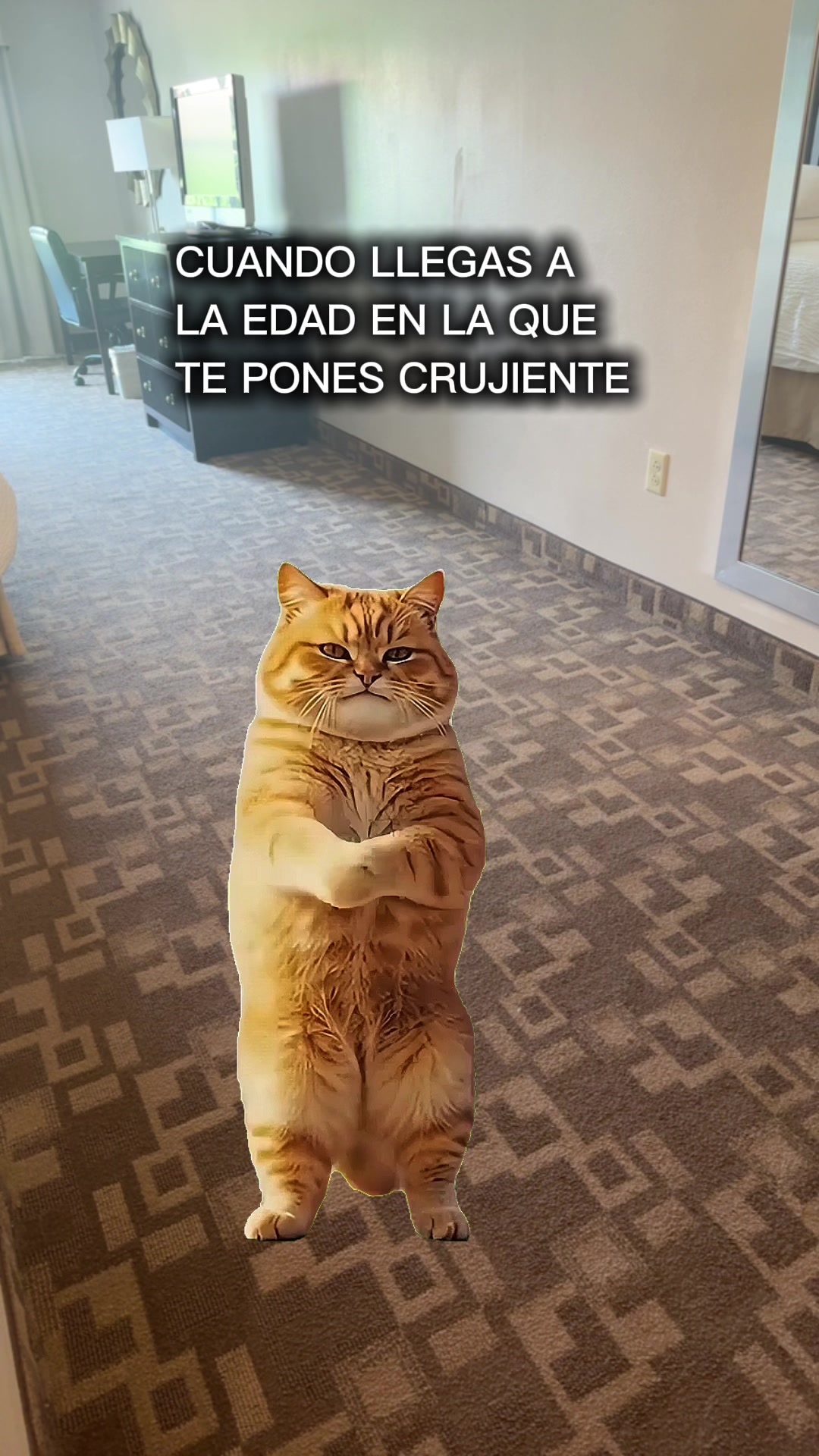 @Yanett Rivera