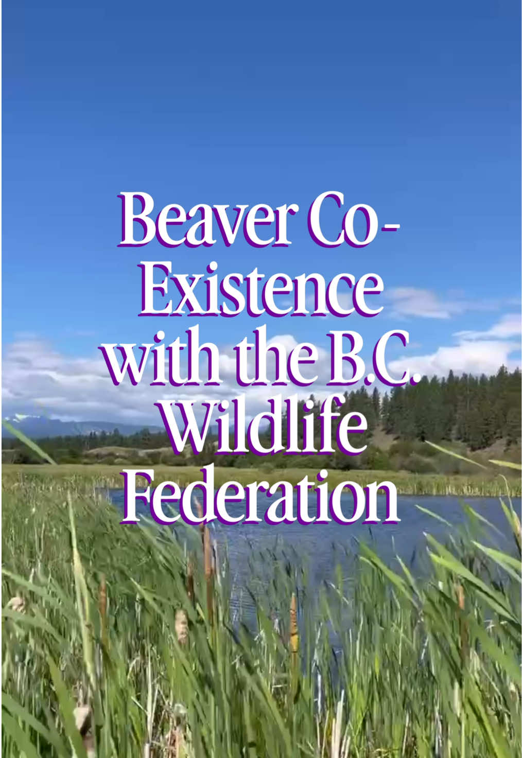 @B.C. Wildlife Federation
