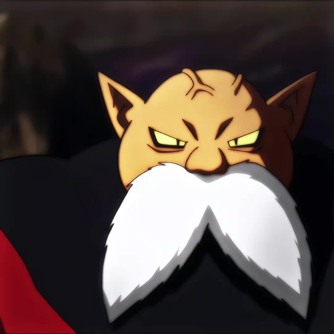 @VEGETTO