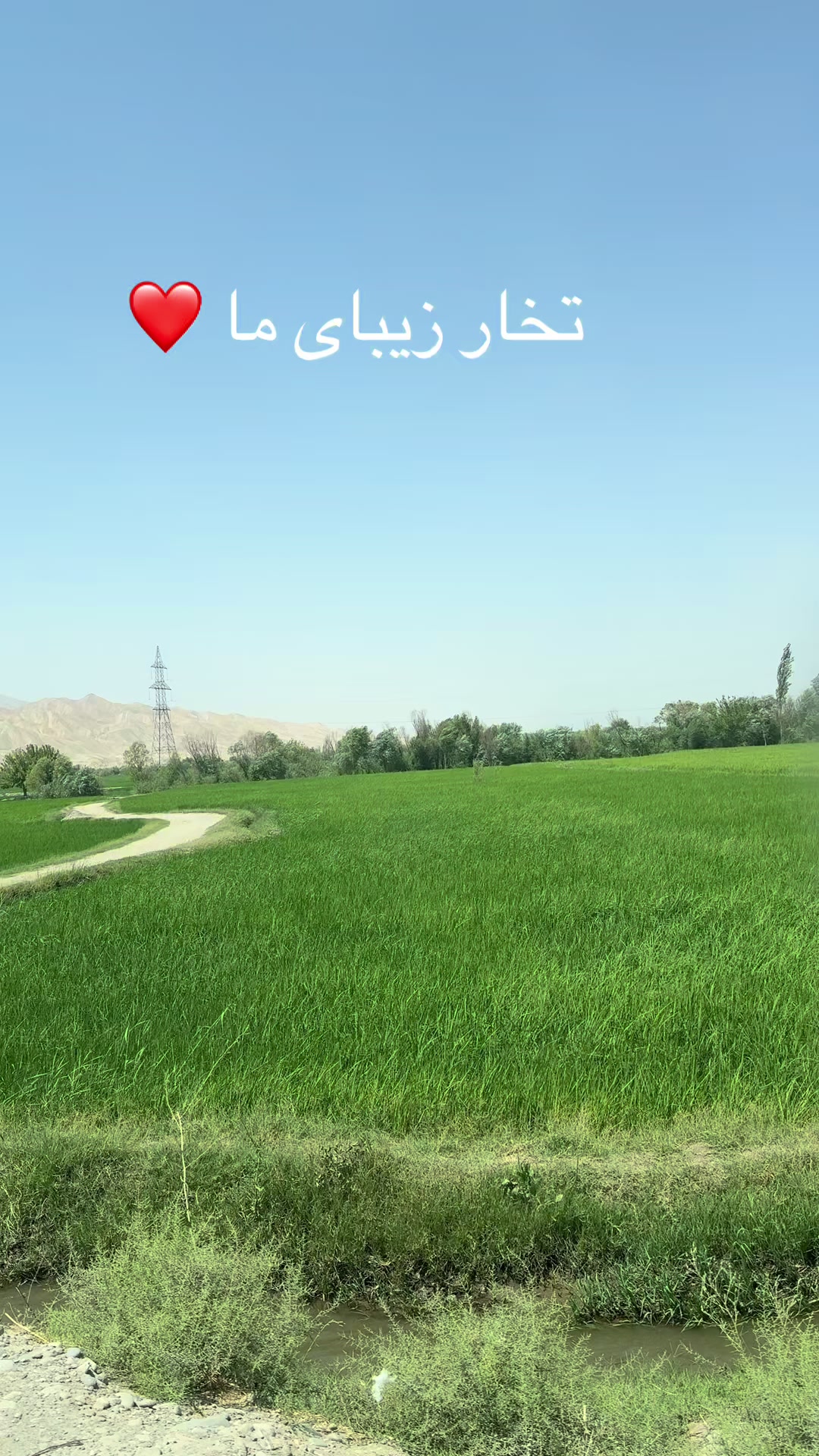 @Siran 👩❤️👨🦋❤️