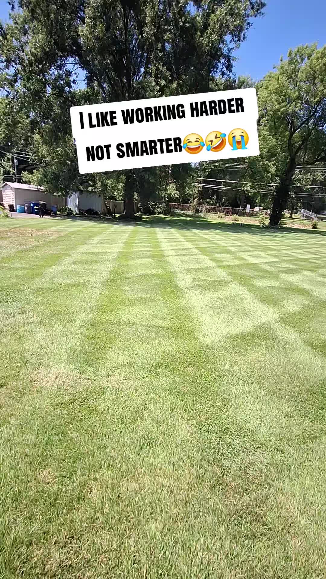 @Stripeleader