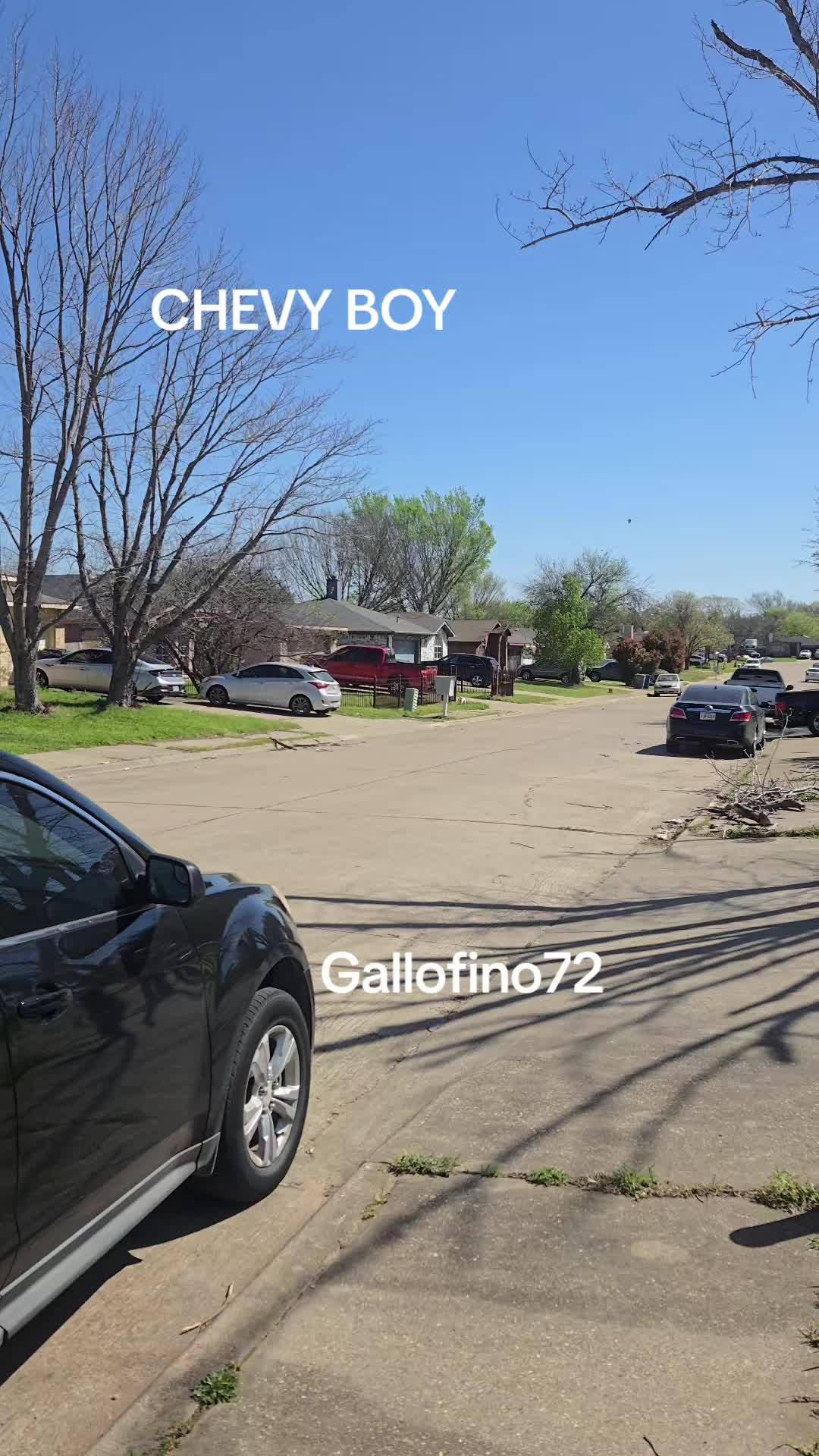 @ElGalloFino