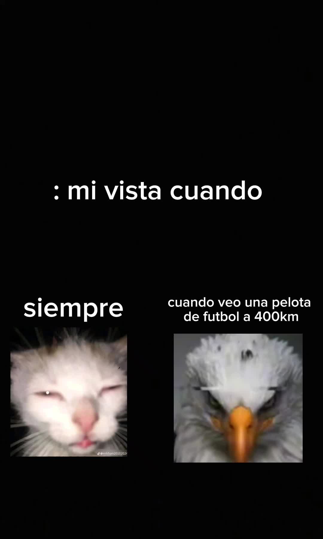 @anx_gelx 👾