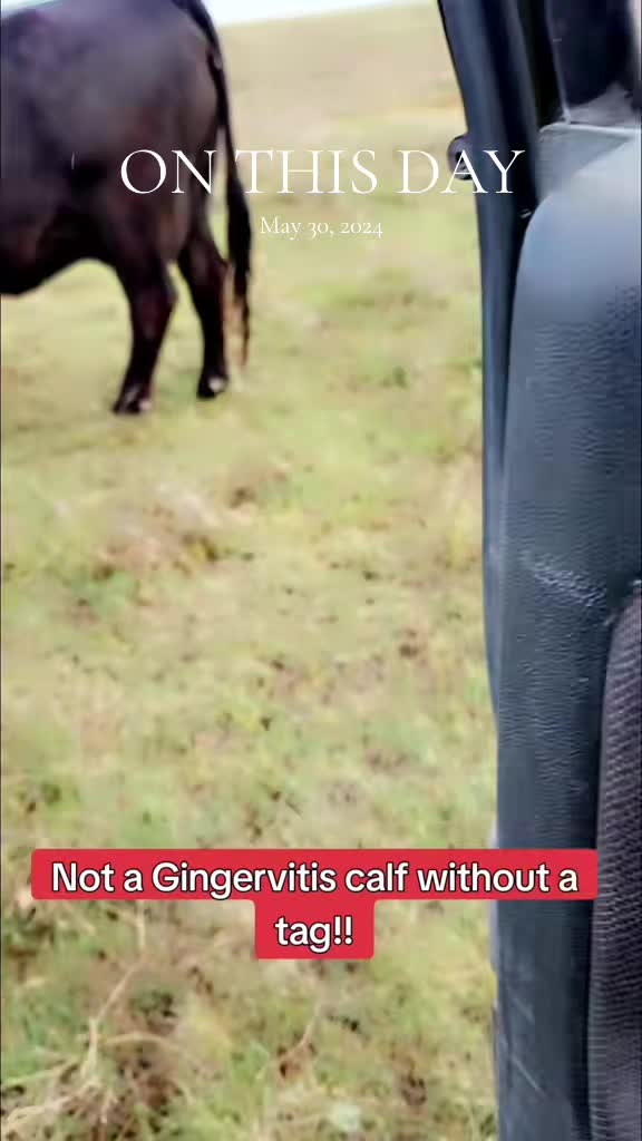 @The Unhinged Rancher