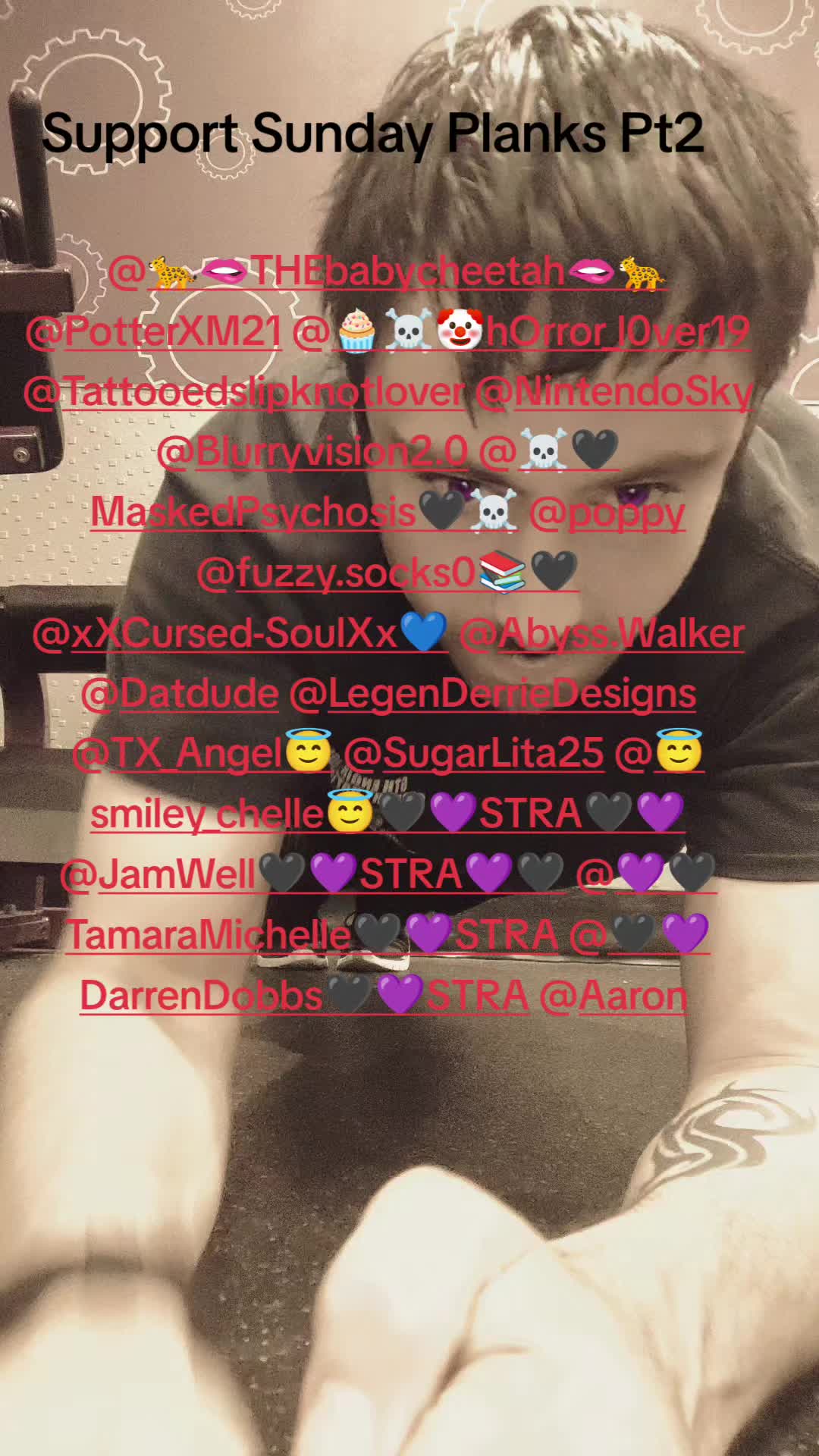@Wolf019๐บ๐ฒ๐ค๐STRA๐ค๐