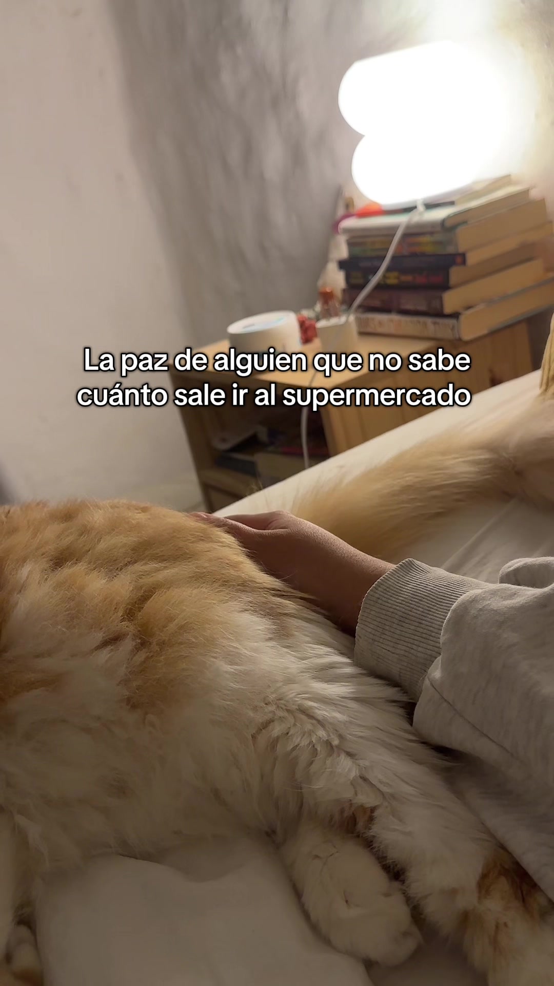 @Mel