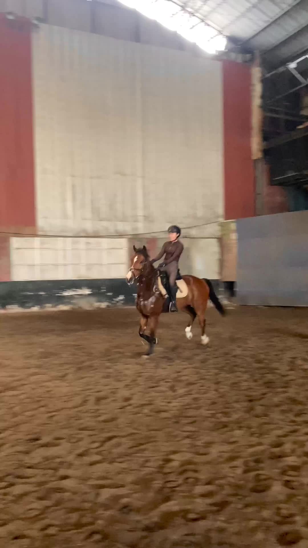 @Emporium Horse Club