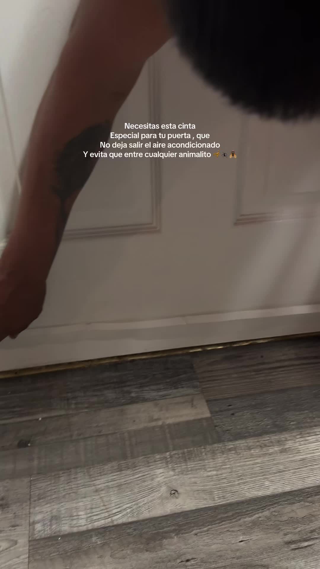 @paulinag225