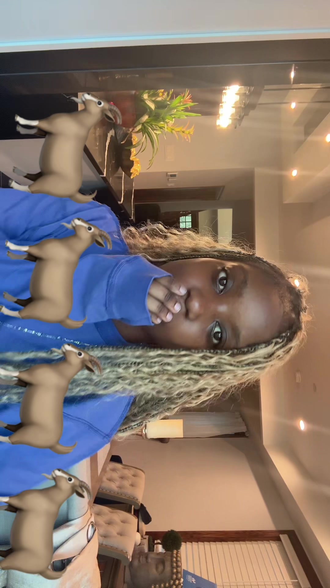 @katelyndagoat121