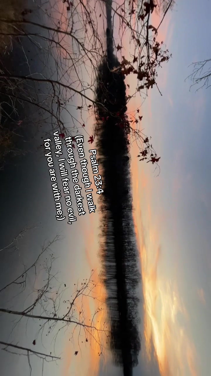 @Cade 🫠