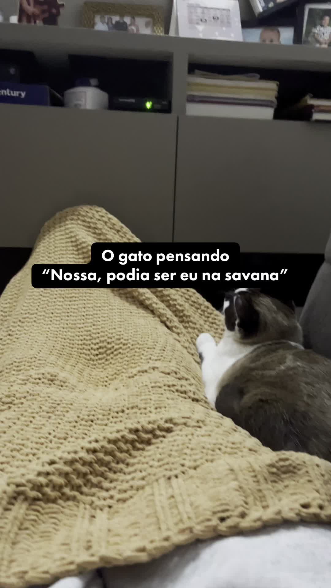 @Marcos Dante