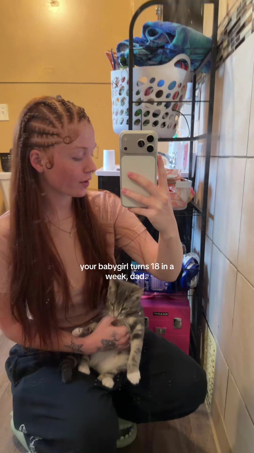 @gingertitus
