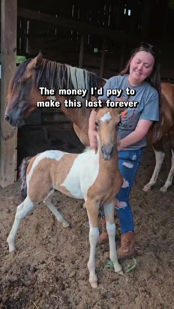 @SlowlaneFarm