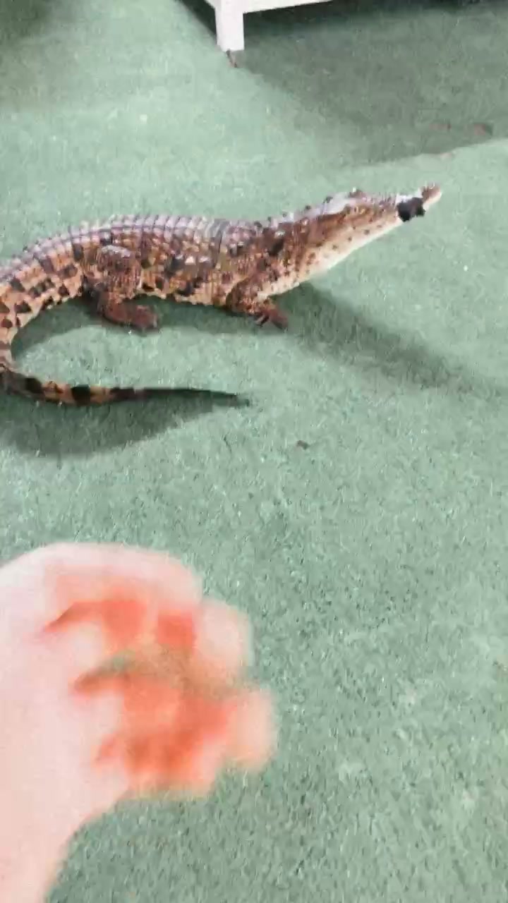 @Yasmin🎮🃏