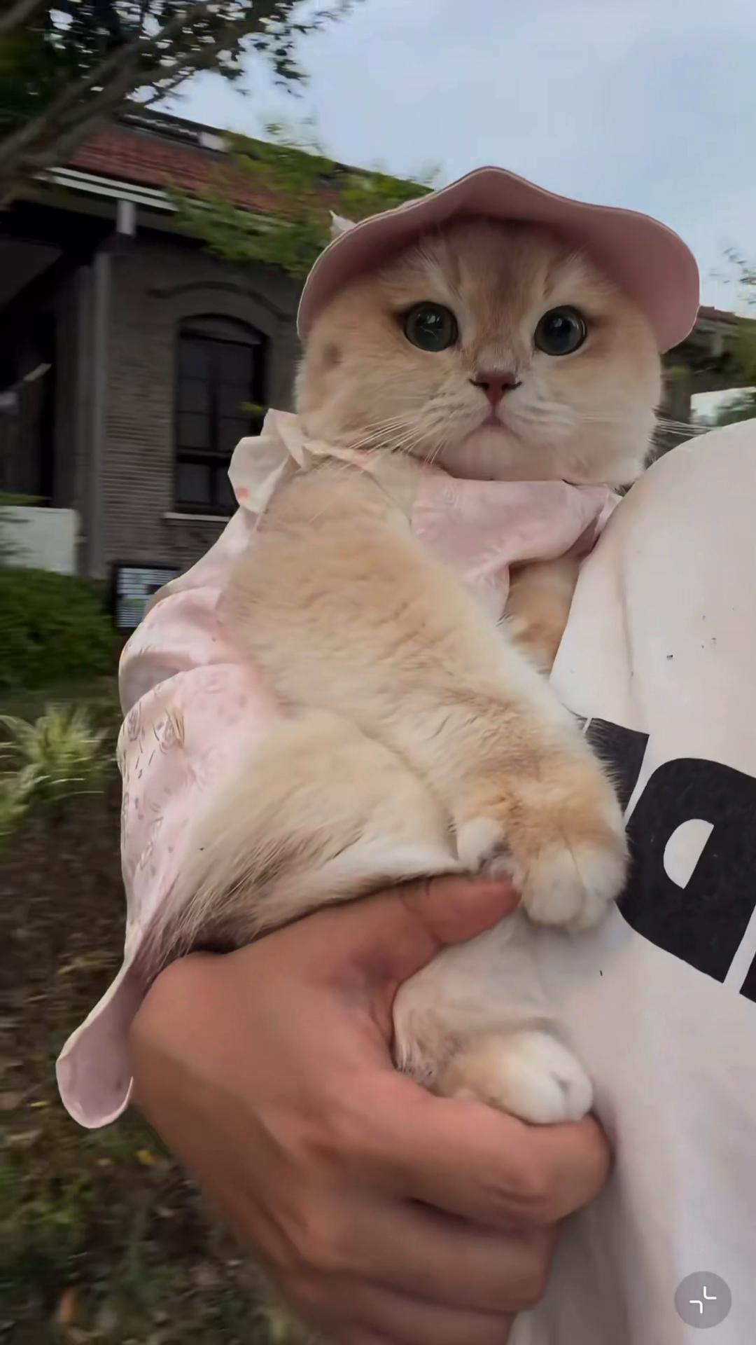 @My Daily Dose of Aww