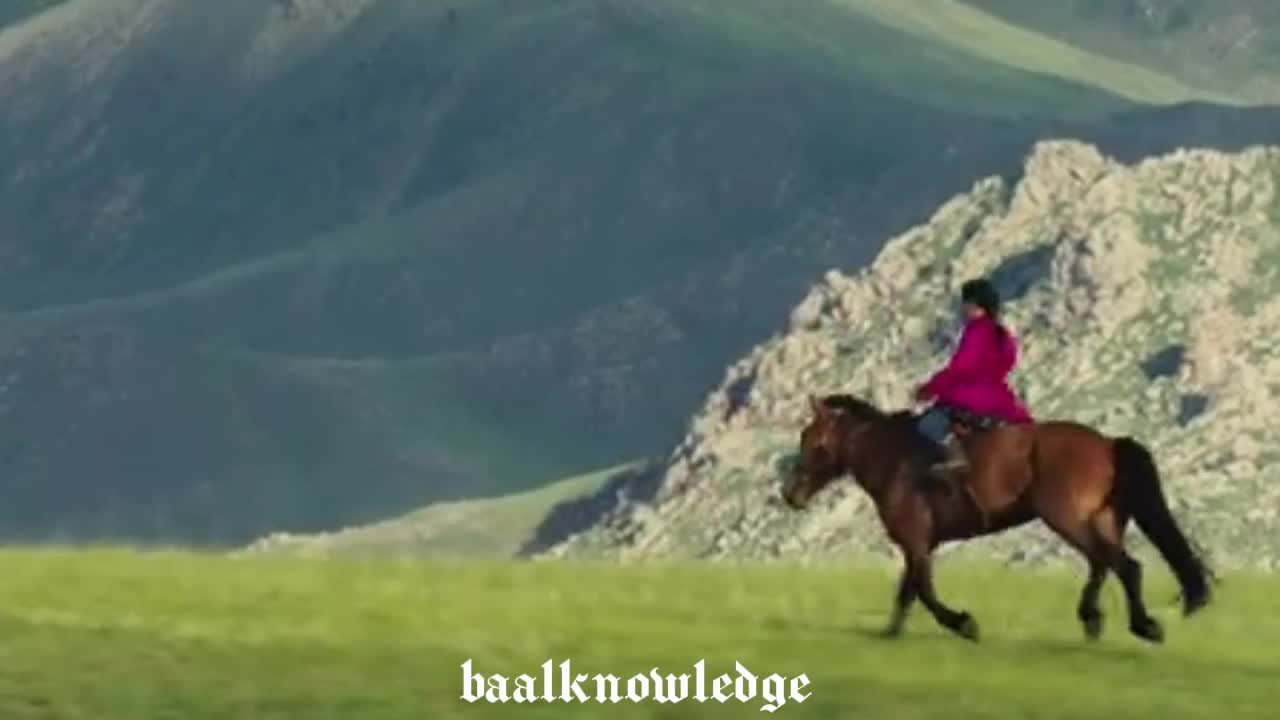 @baalknowledge