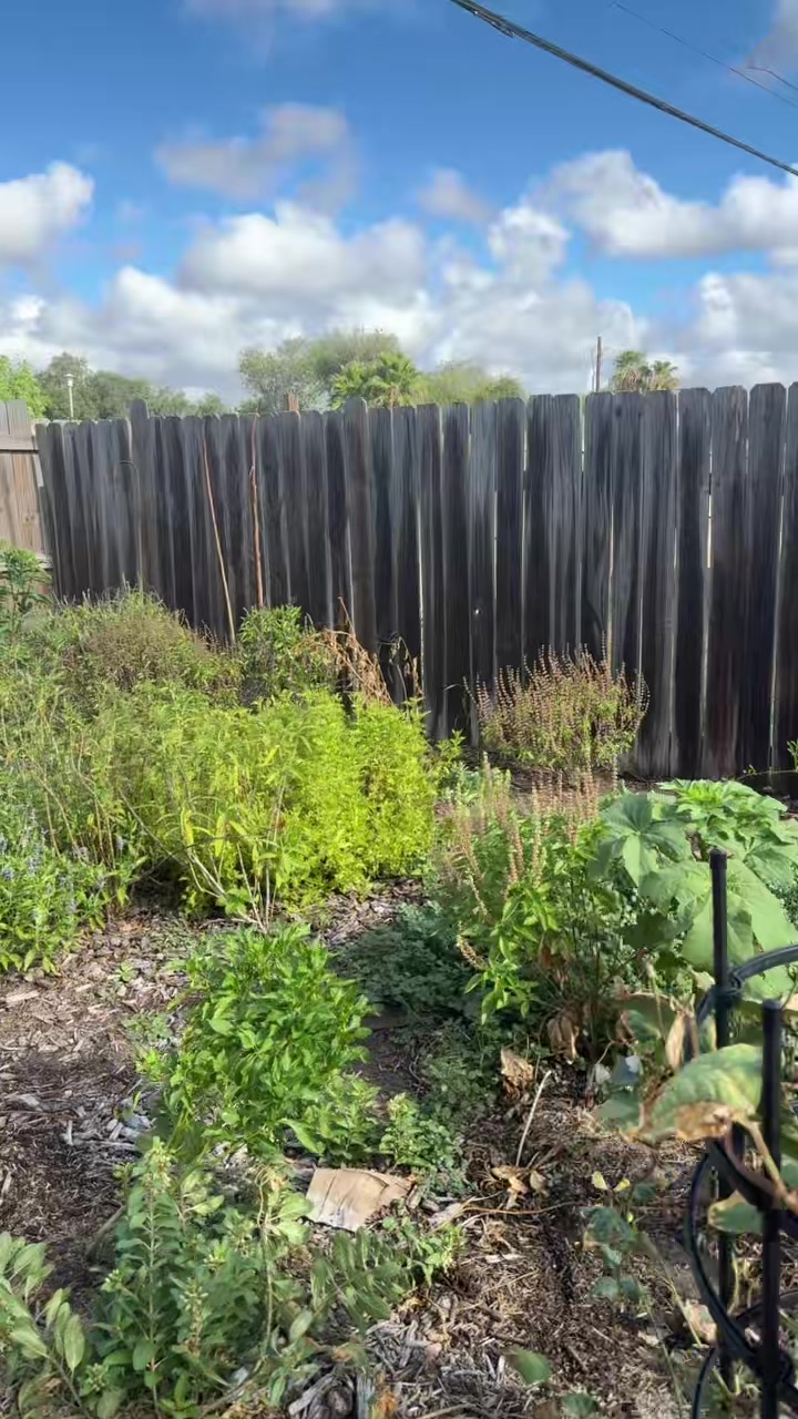 @themagicvalleygardener