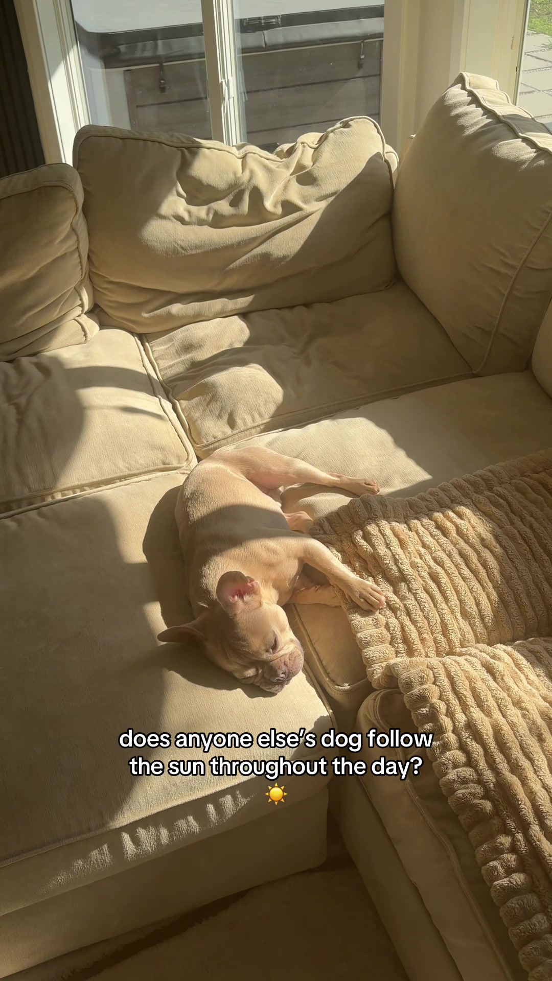 @Winston & Charlie 🐾