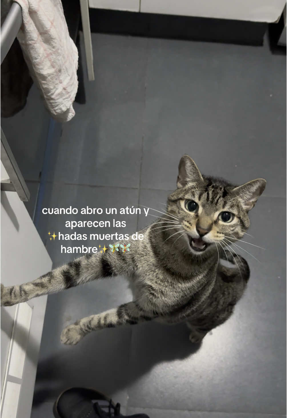 @lu alem&aacute;n