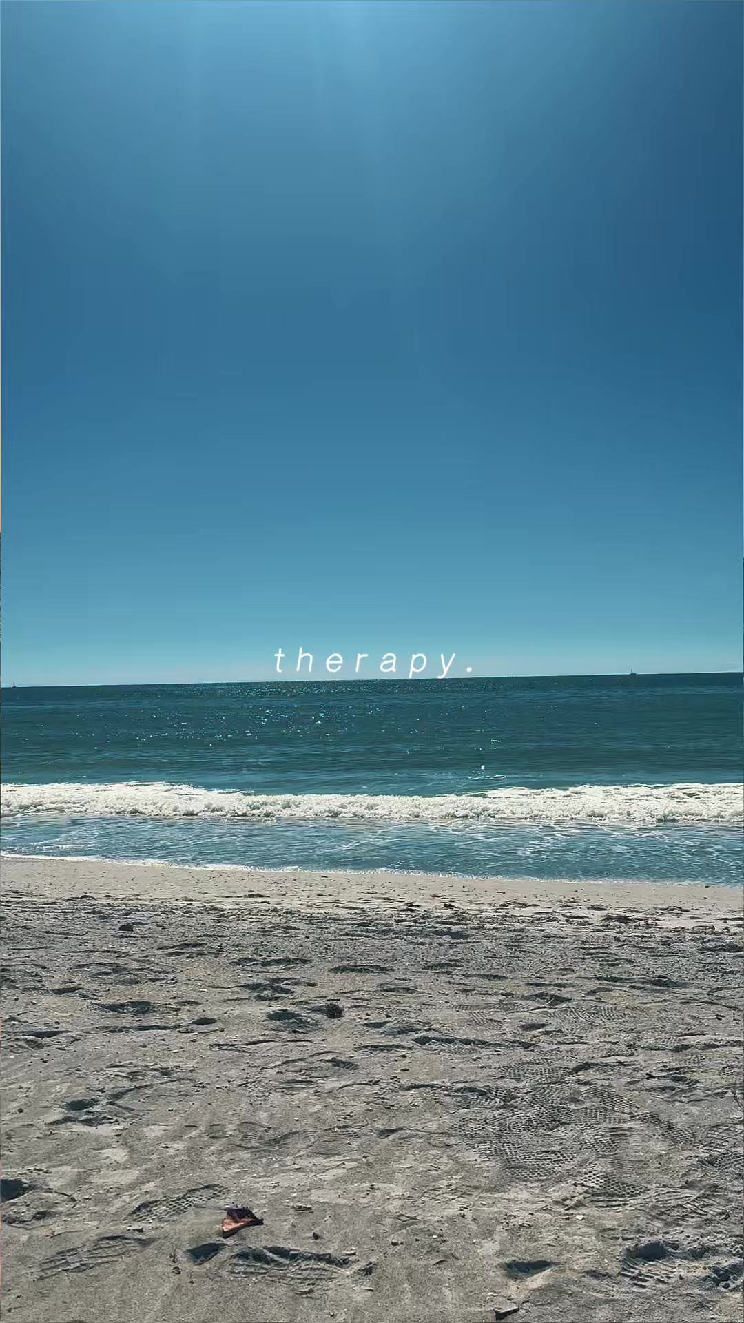 @Sarasota Local Guide 🌊🏝️