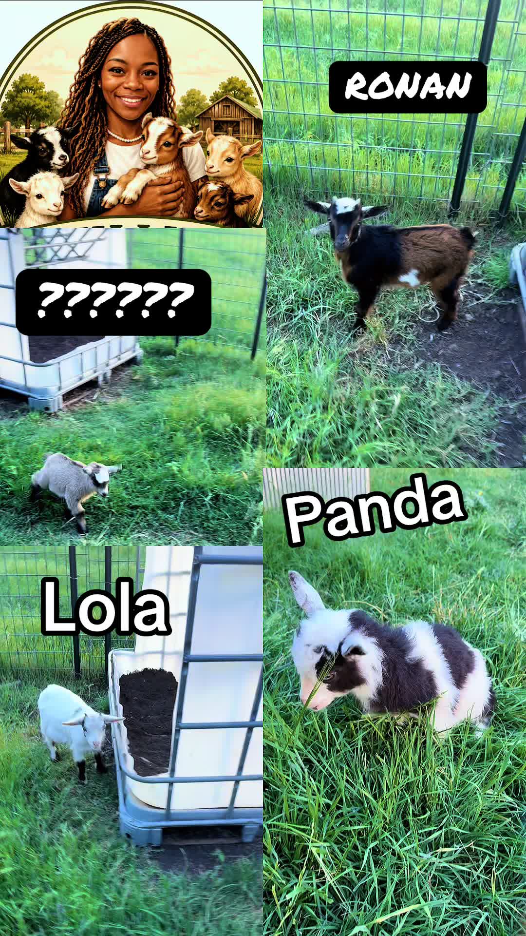 @Lumi
