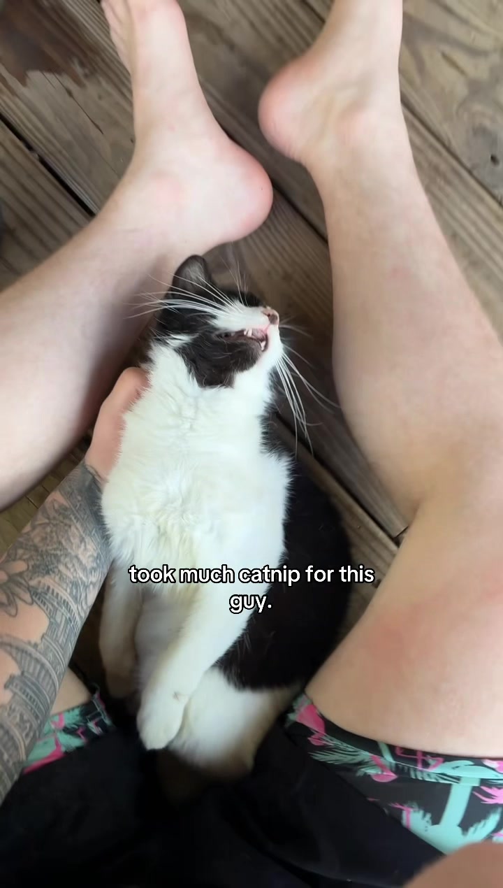 @ӾØ₣