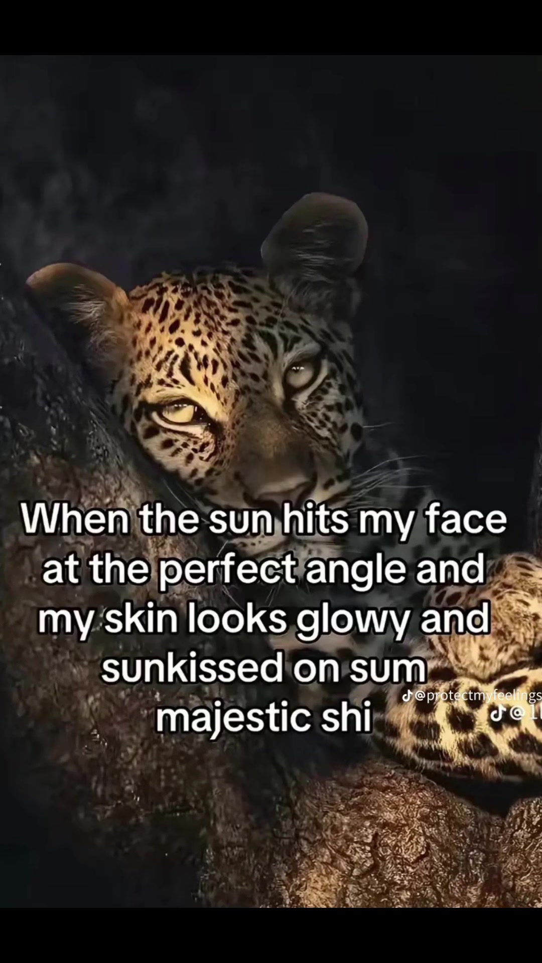@JusJass