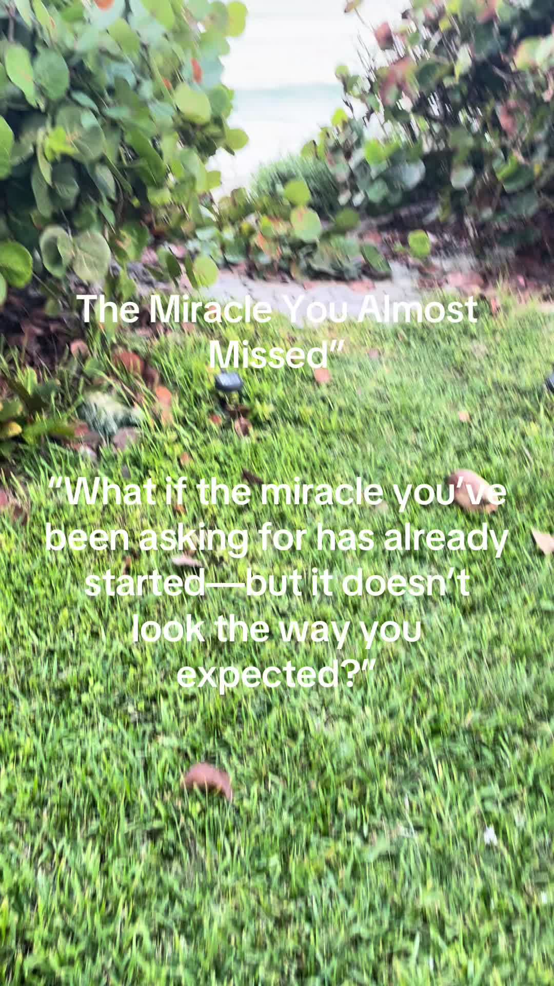 @Michele Ahrendt