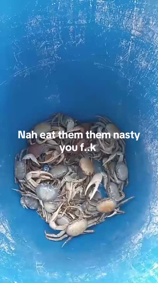 @Tuff crackers fe days
