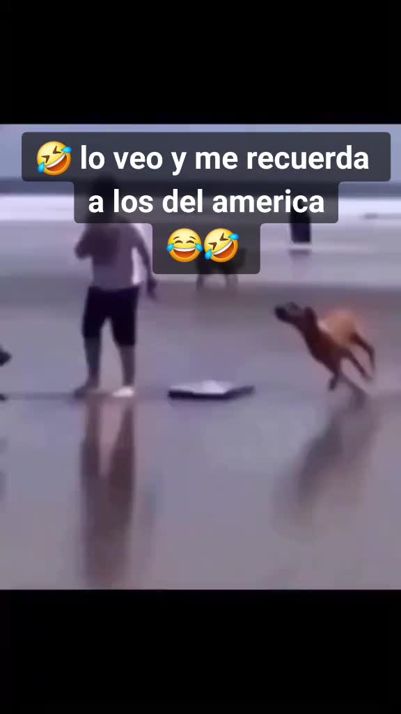 @MEXICANO FOREVER 😎🇲🇽🍀💵