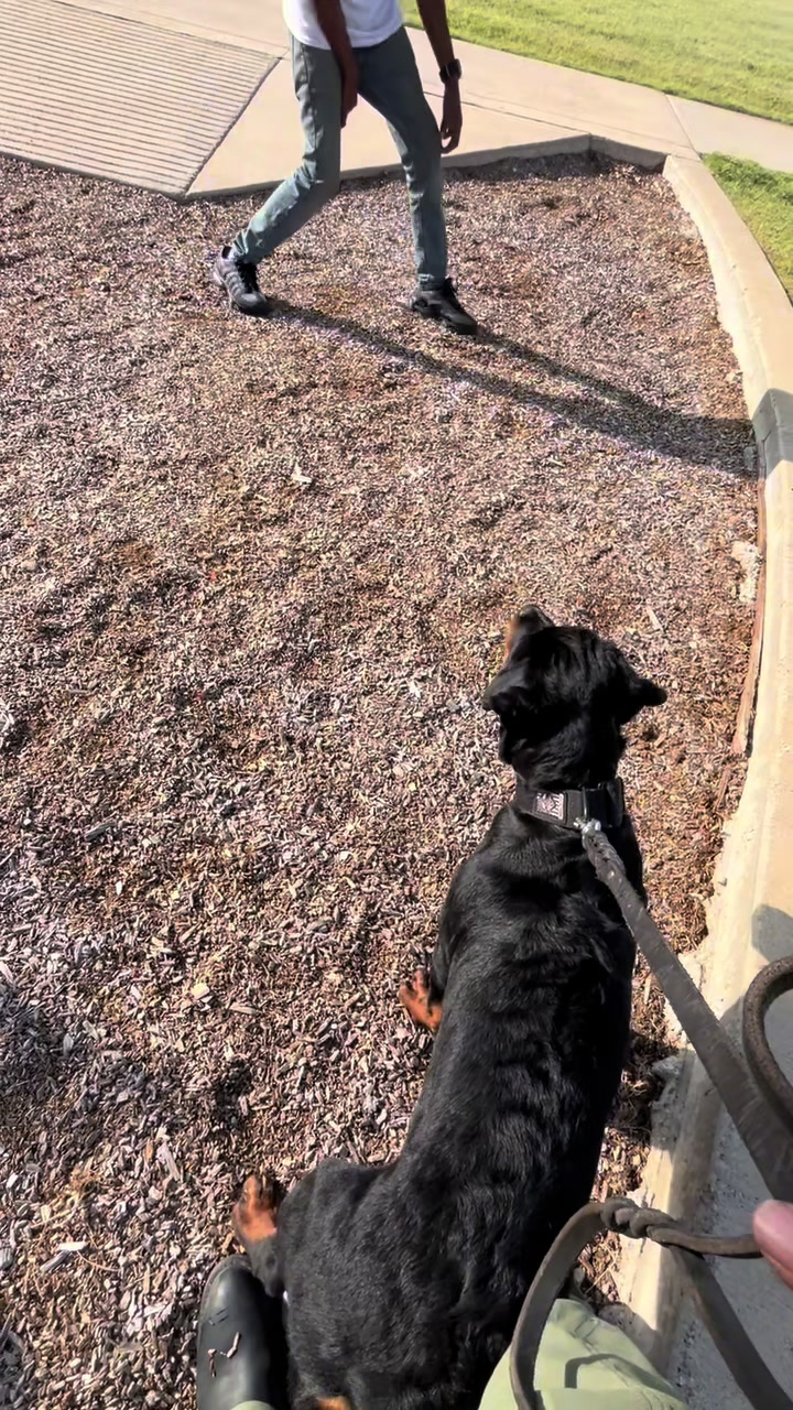 @HardBody K9 Training