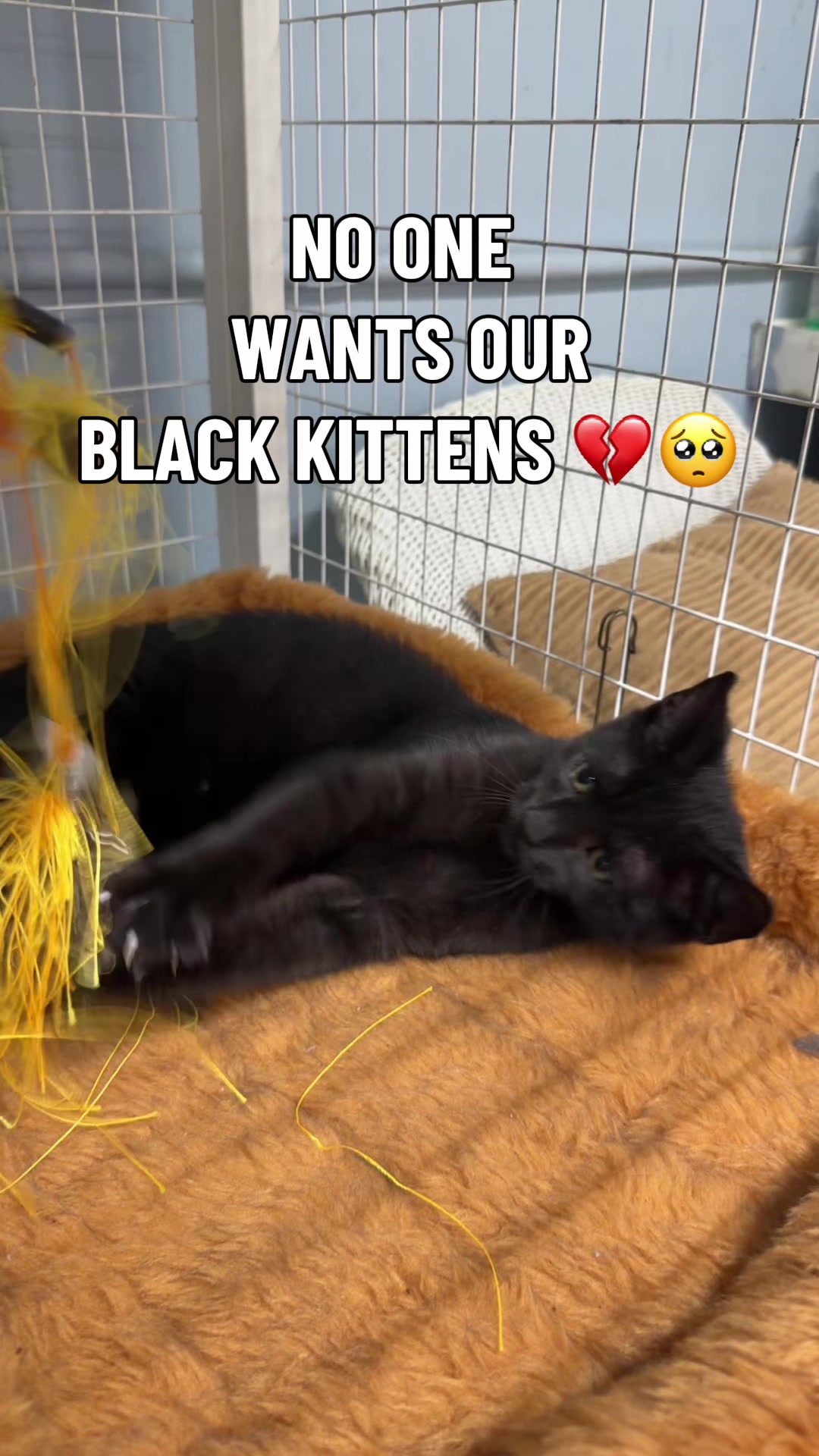 @shopwithkeke