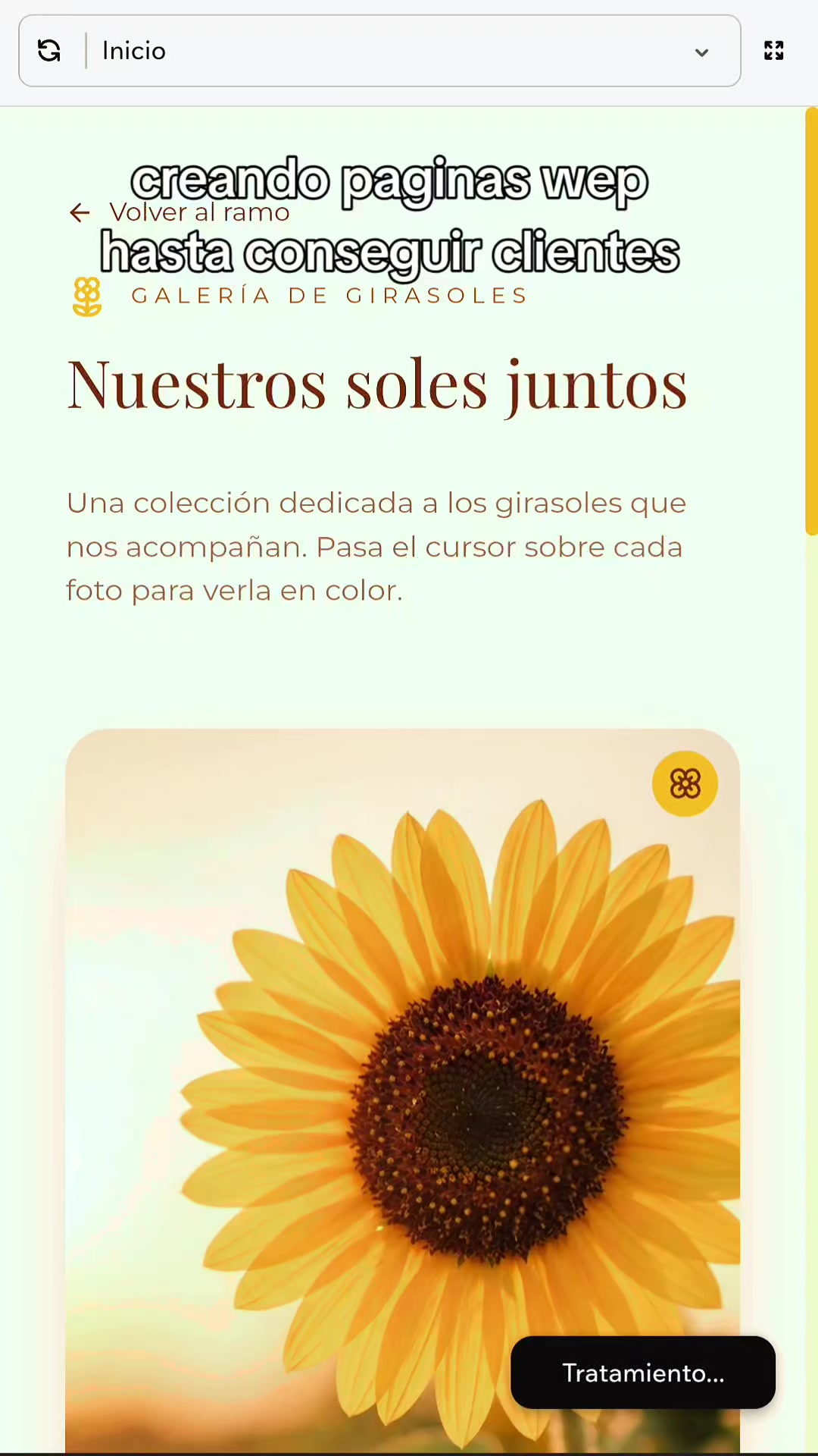 @chico__frase2025