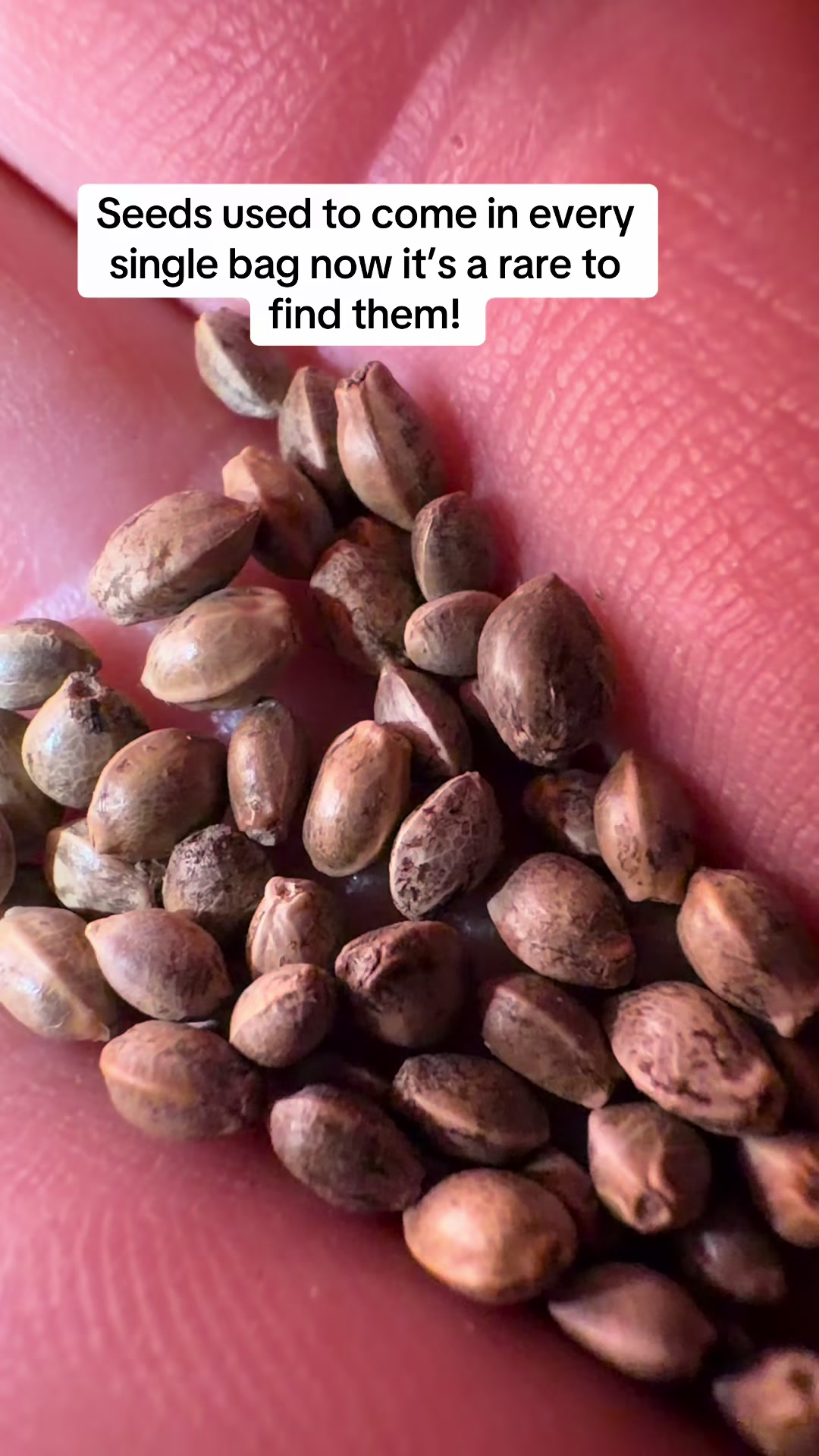 @SEEDTIVA