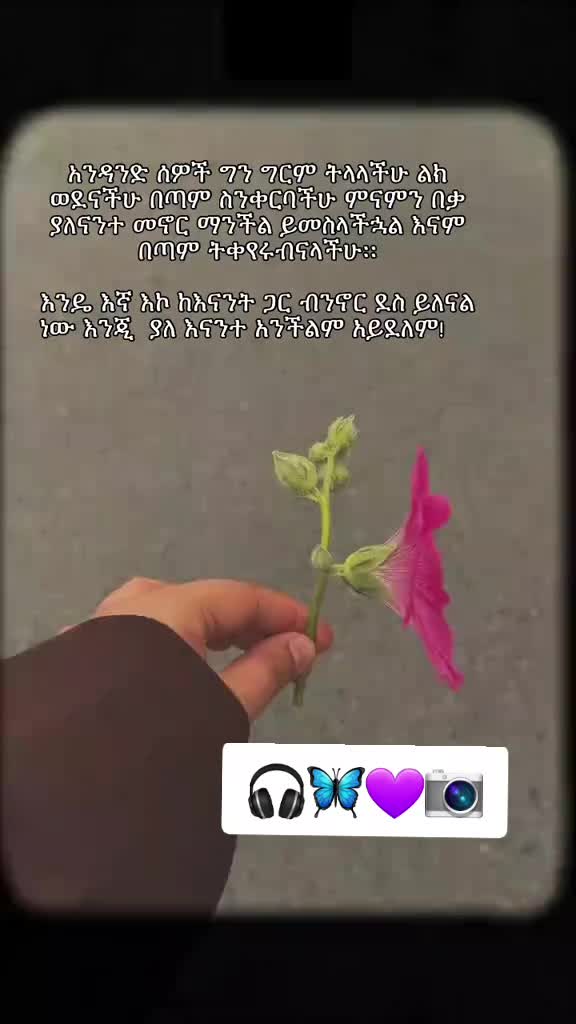 @💜𝑩𝑳𝑨𝑪𝑲💙𝑾𝑶𝑹𝑳𝑫🇪🇷