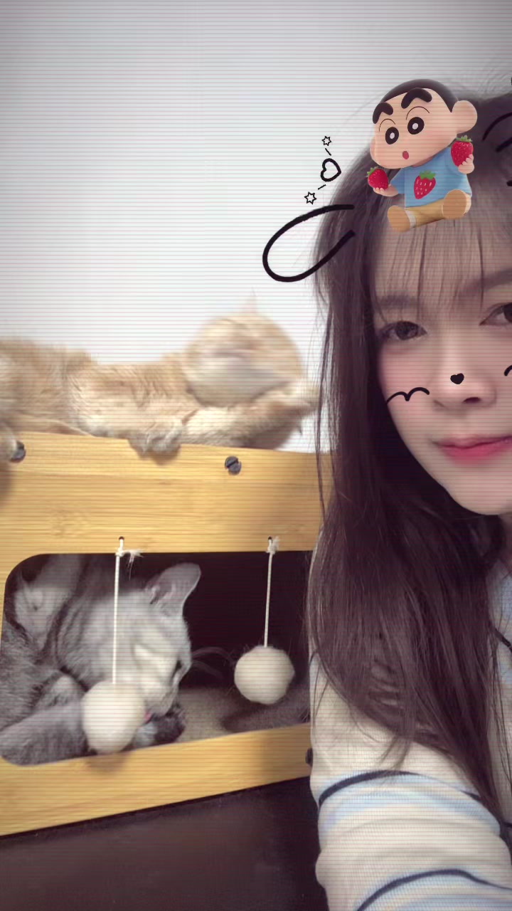 @🐈야옹야옹🐾