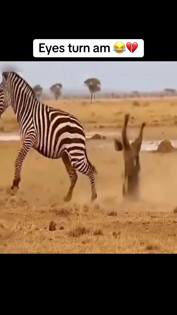 @Samuel Omo Ajiko
