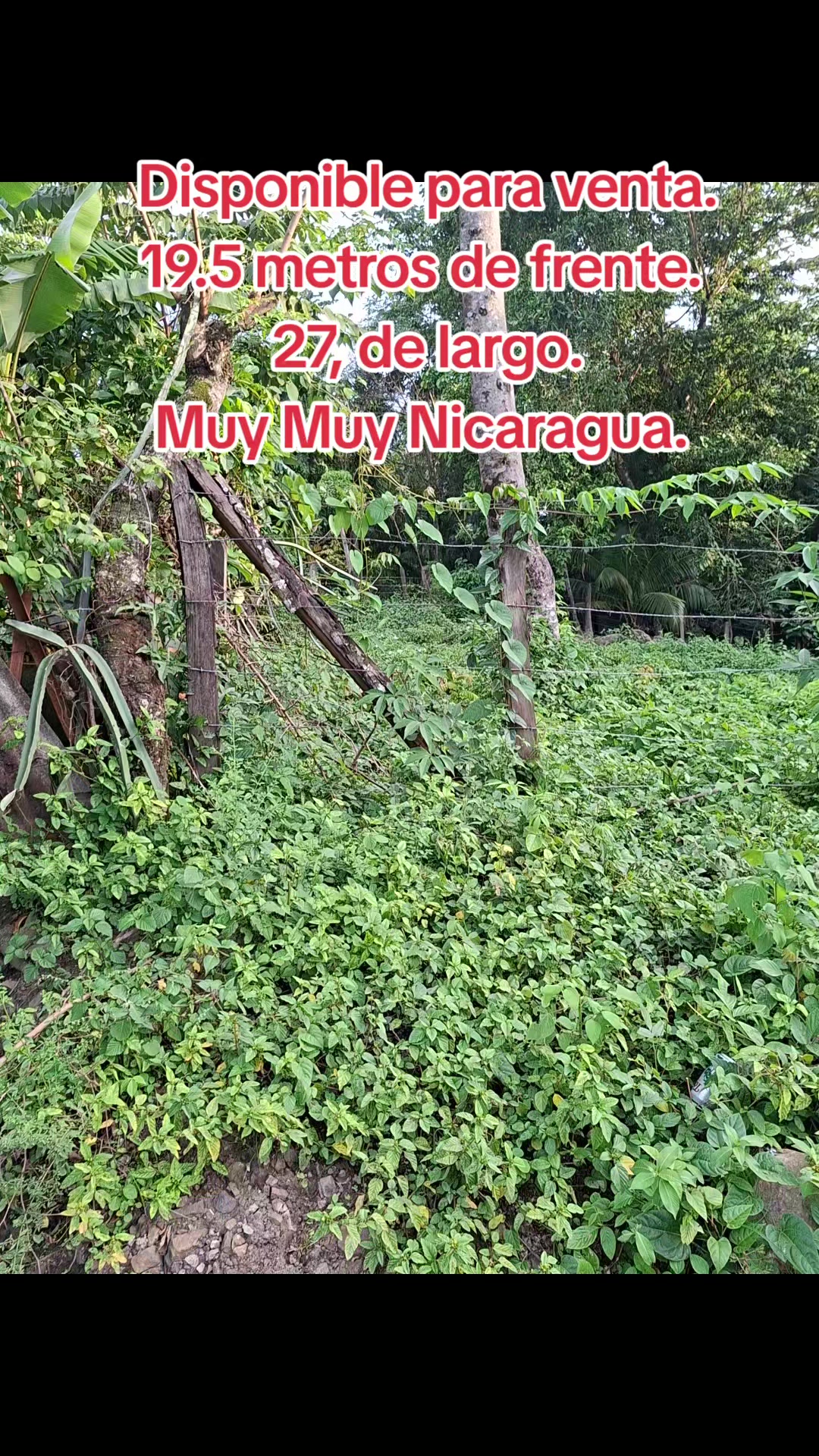@Josseligurbina429