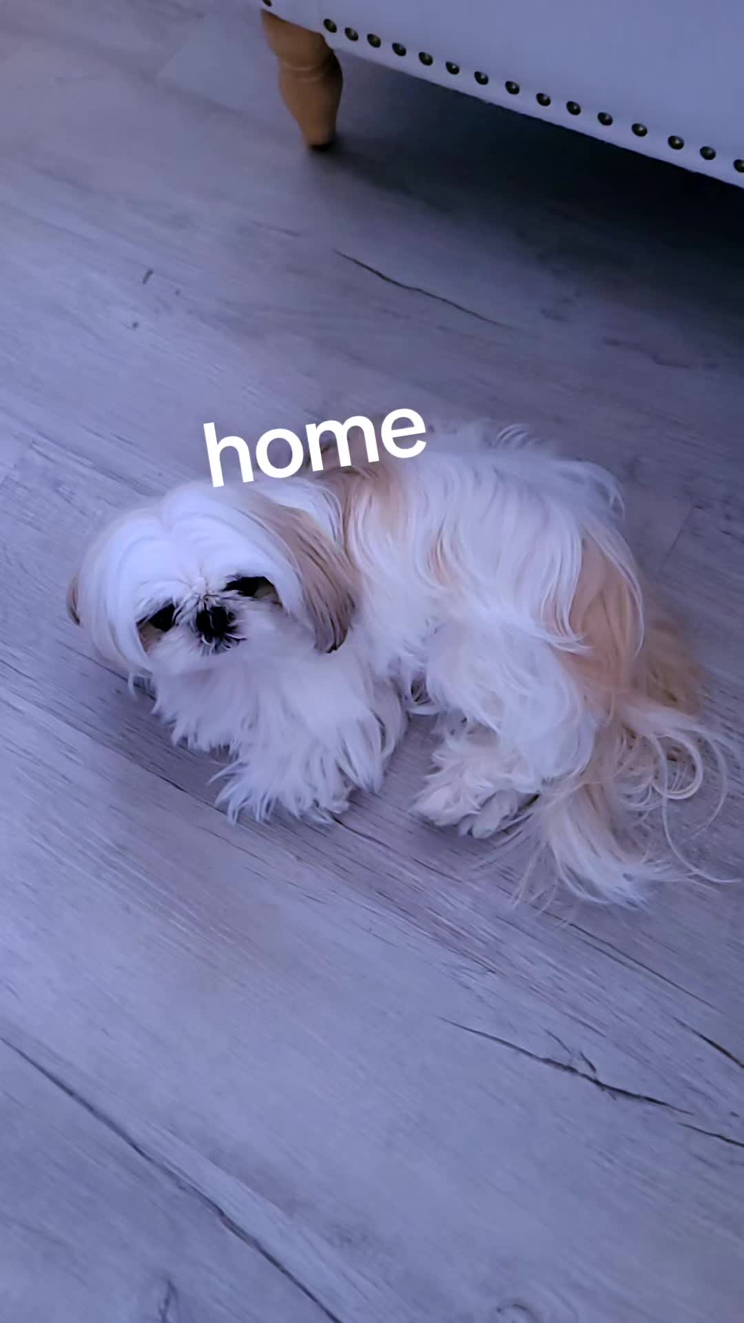 @Melanie