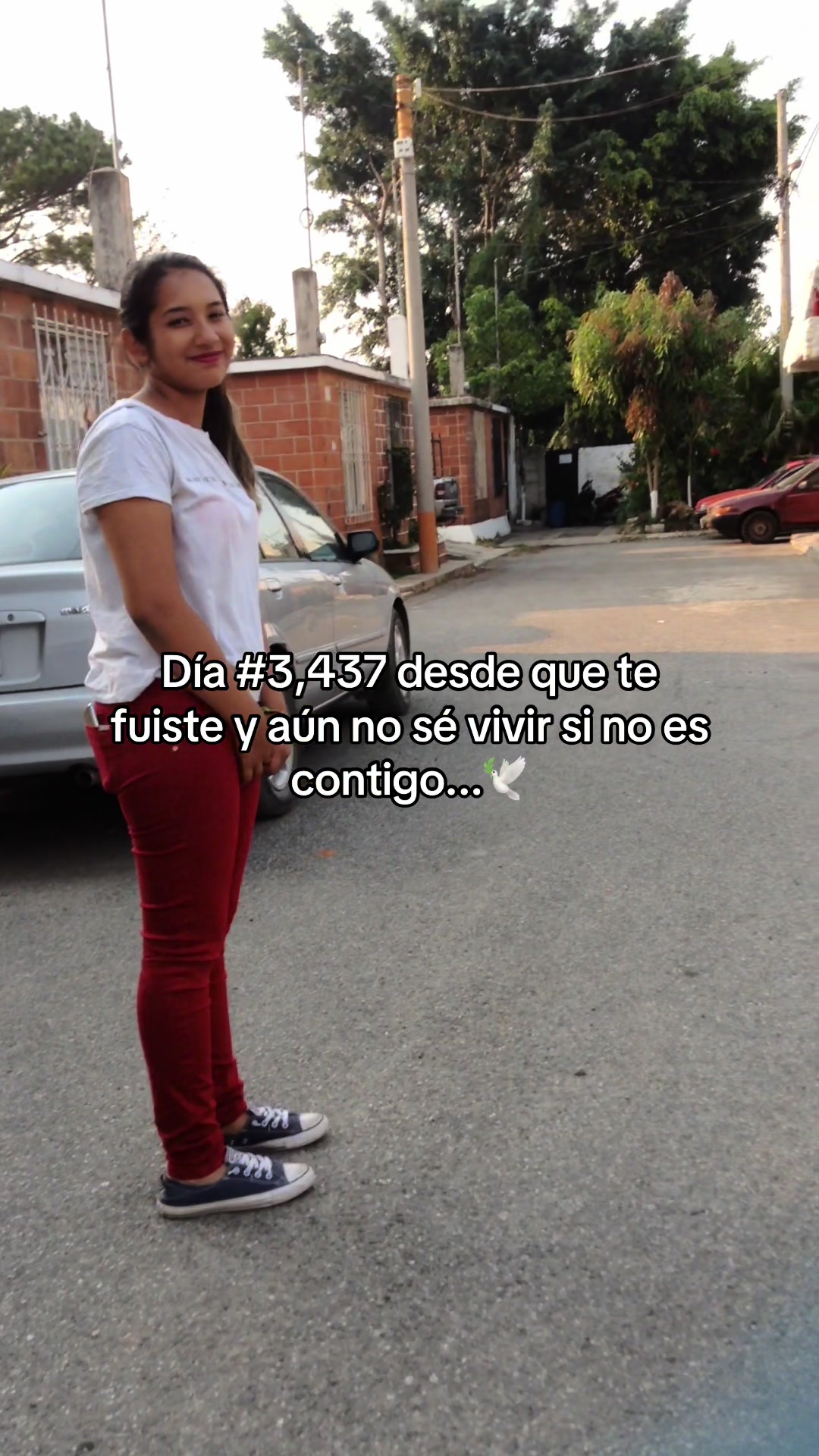 @evelynortiz03