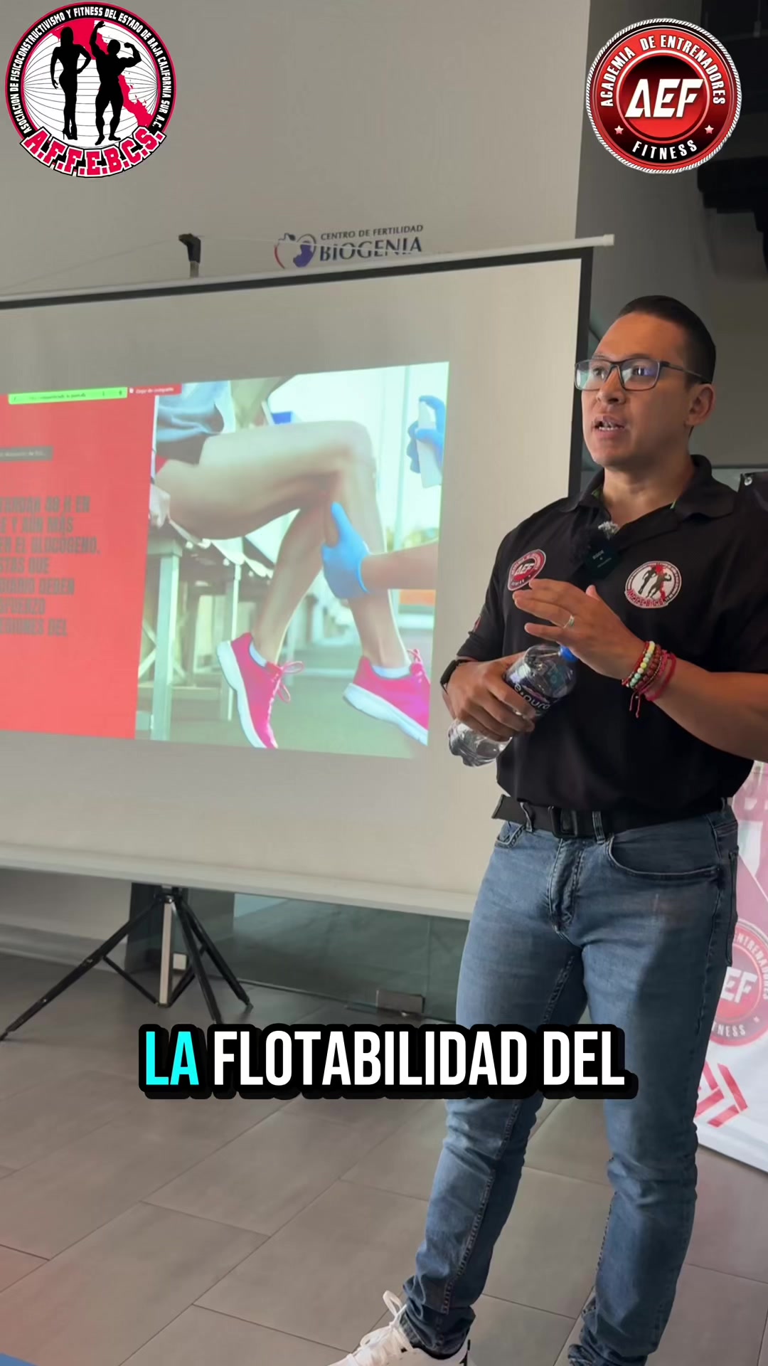 @aef_internacional