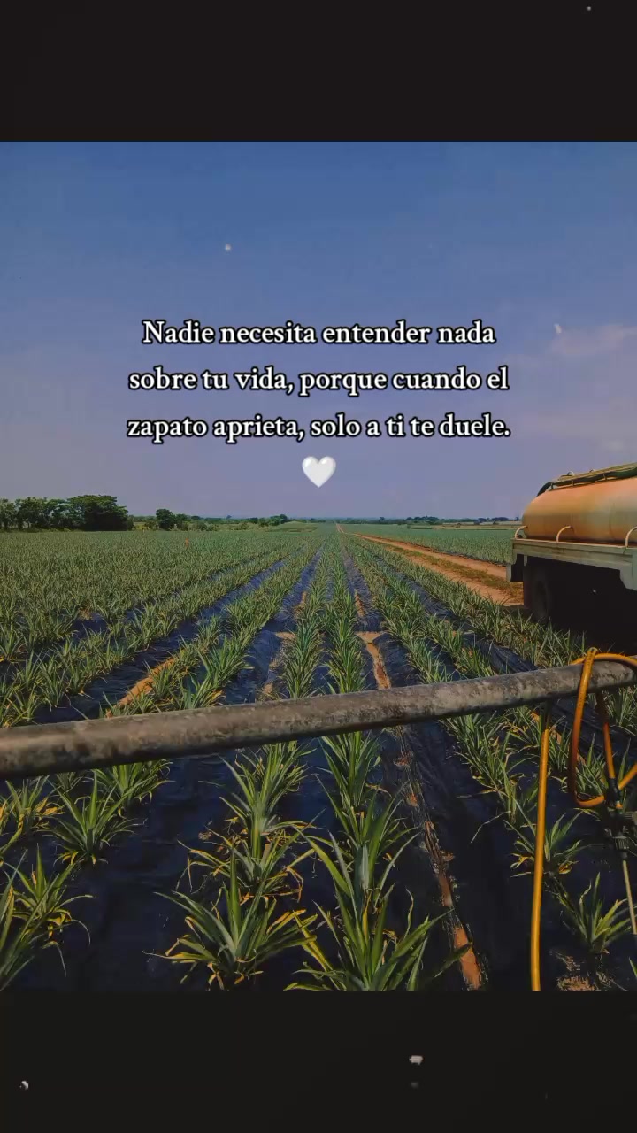 @Soy el Samy 🇲🇽 Plan agrario