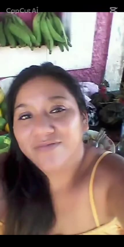 @felix el gato2