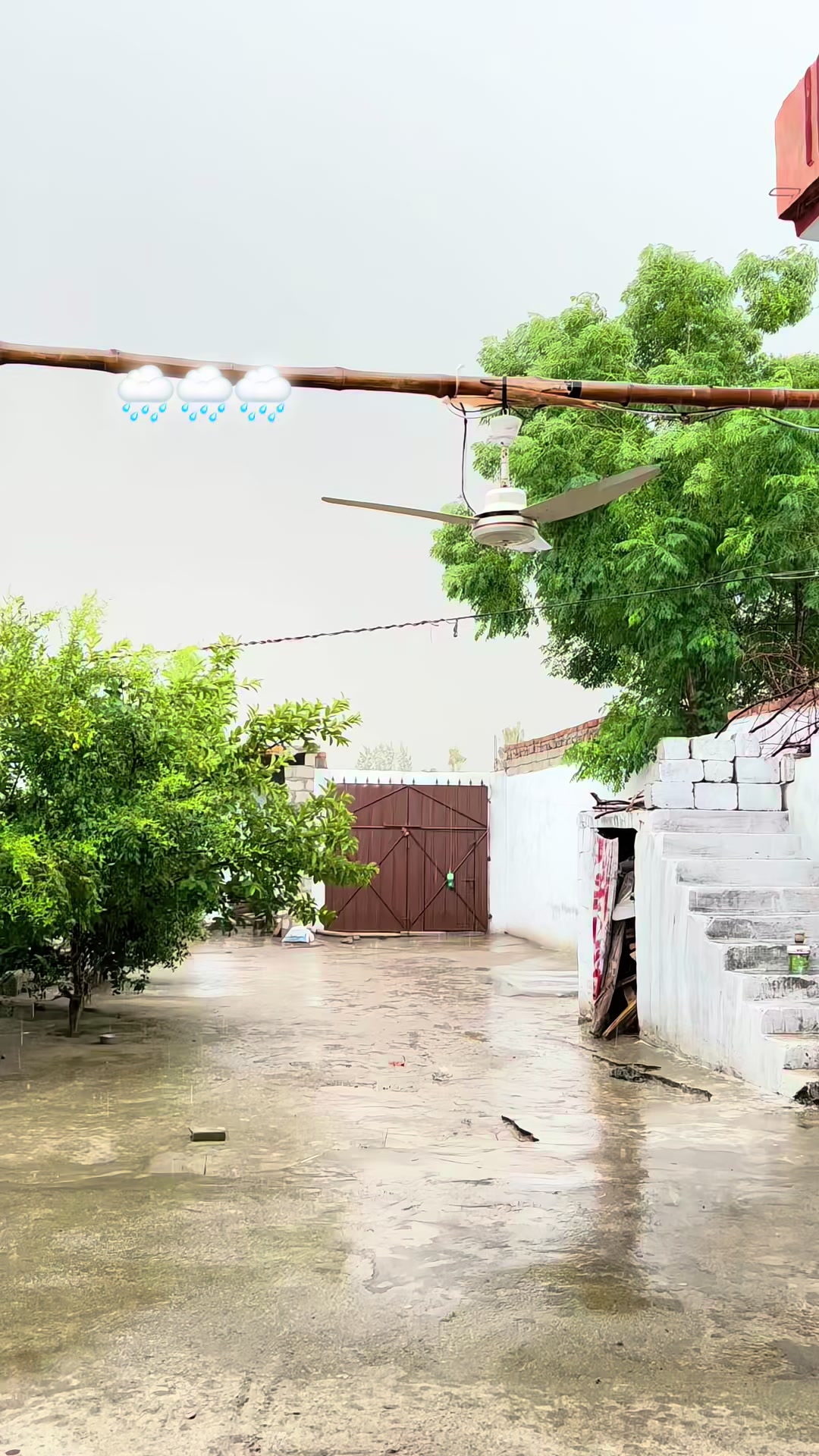 @𝐏 𝐀 𝐍 𝐀 𝐃 𝐎 𝐋-💊