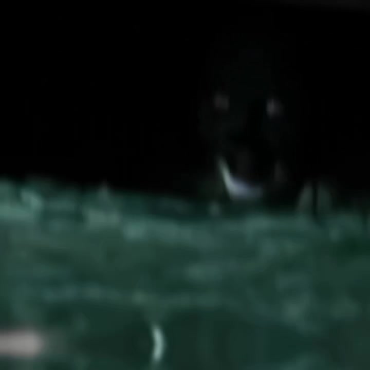 @𝐂𝐇𝐑𝐈𝐙𝐖𝐀𝐑𝐏