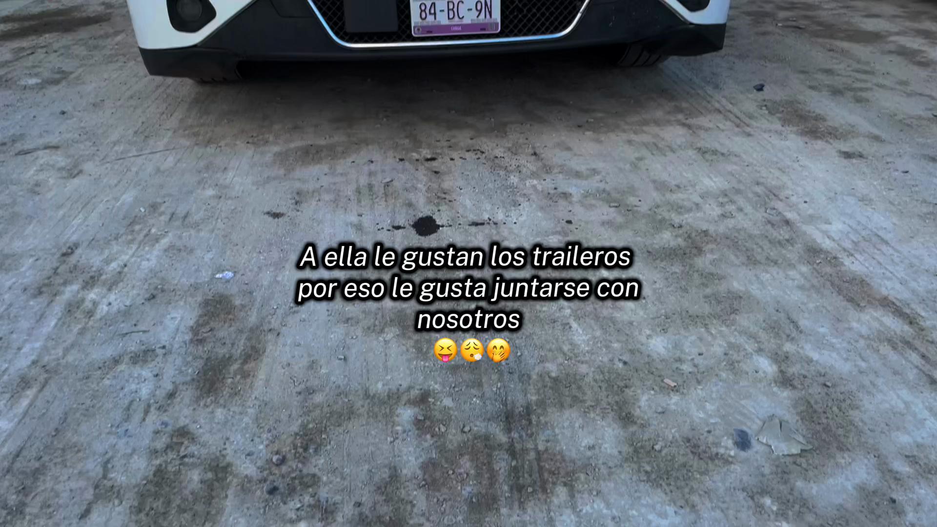 @mirandasanchez497🐷🚛✨