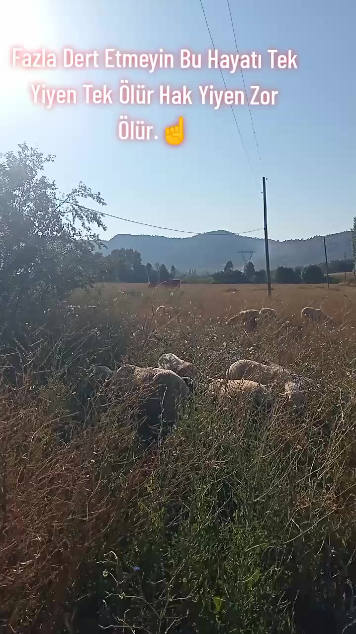 @Haşmet &Ccedil;etin
