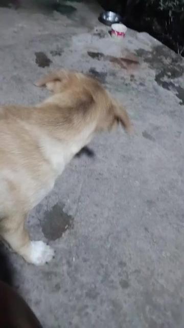 @ดาริณี คลองไชย