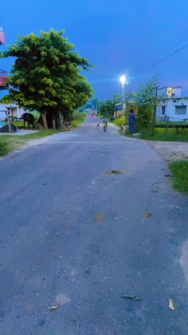 @Anu❤️🦚